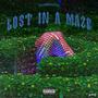 Lost in a Maze (Explicit)