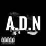 ADN (Explicit)