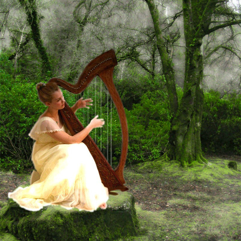 拨动琴弦,撩动心弦,感受竖琴的唯美