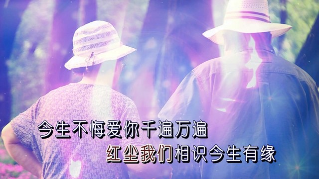 今生有你相伴 (ktv版)