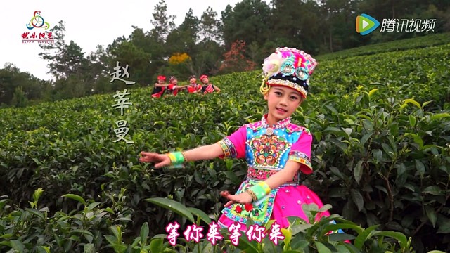彝山彝水等你来