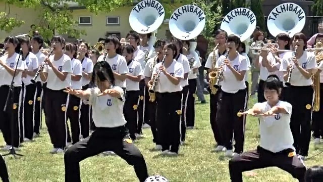演奏曲 京都橘 12 Pasadena Rose Parade 玫瑰游行 通过主看台 饭制版 高清mv在线看 Qq音乐 千万正版音乐海量无损曲库新歌热歌天天畅听的高品质音乐平台