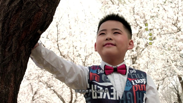 杨彬鹤-中国范儿 (ktv版)-高清mv在线看-qq音乐