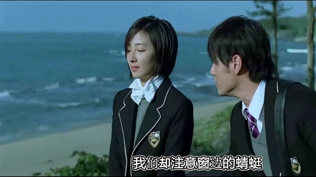 蒲公英的约定 (饭制版)