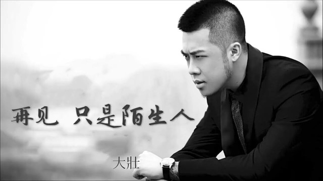 再见只是陌生人 (音频版)