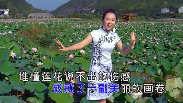我是一朵流泪的莲 (ktv版)