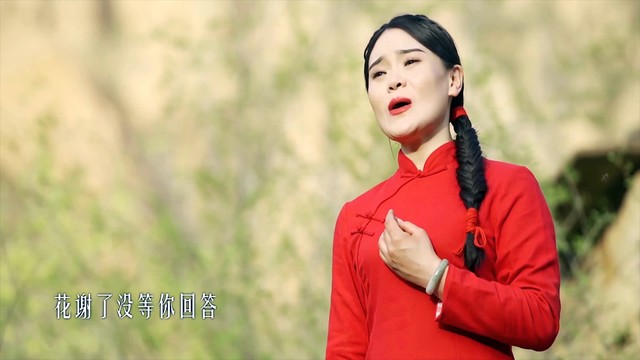 你的山丹丹花