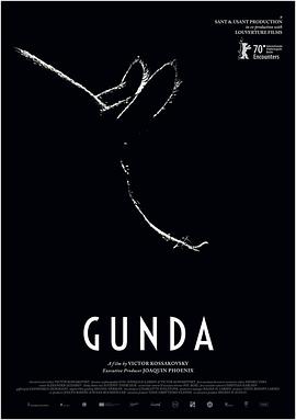 Gunda海报