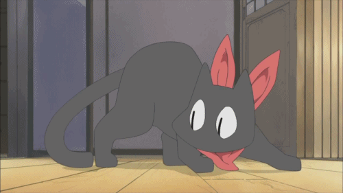 500_281gif 动态图 动图