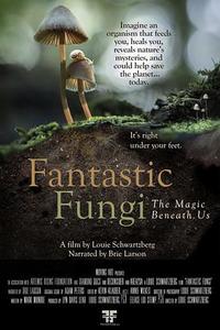 Fantastic Fungi海报