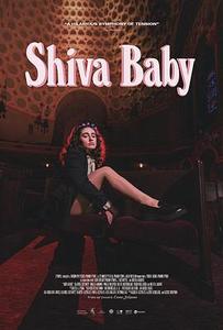 Shiva Baby海报