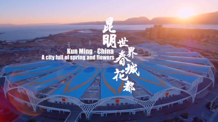 - 淡然处之自己亦是风景