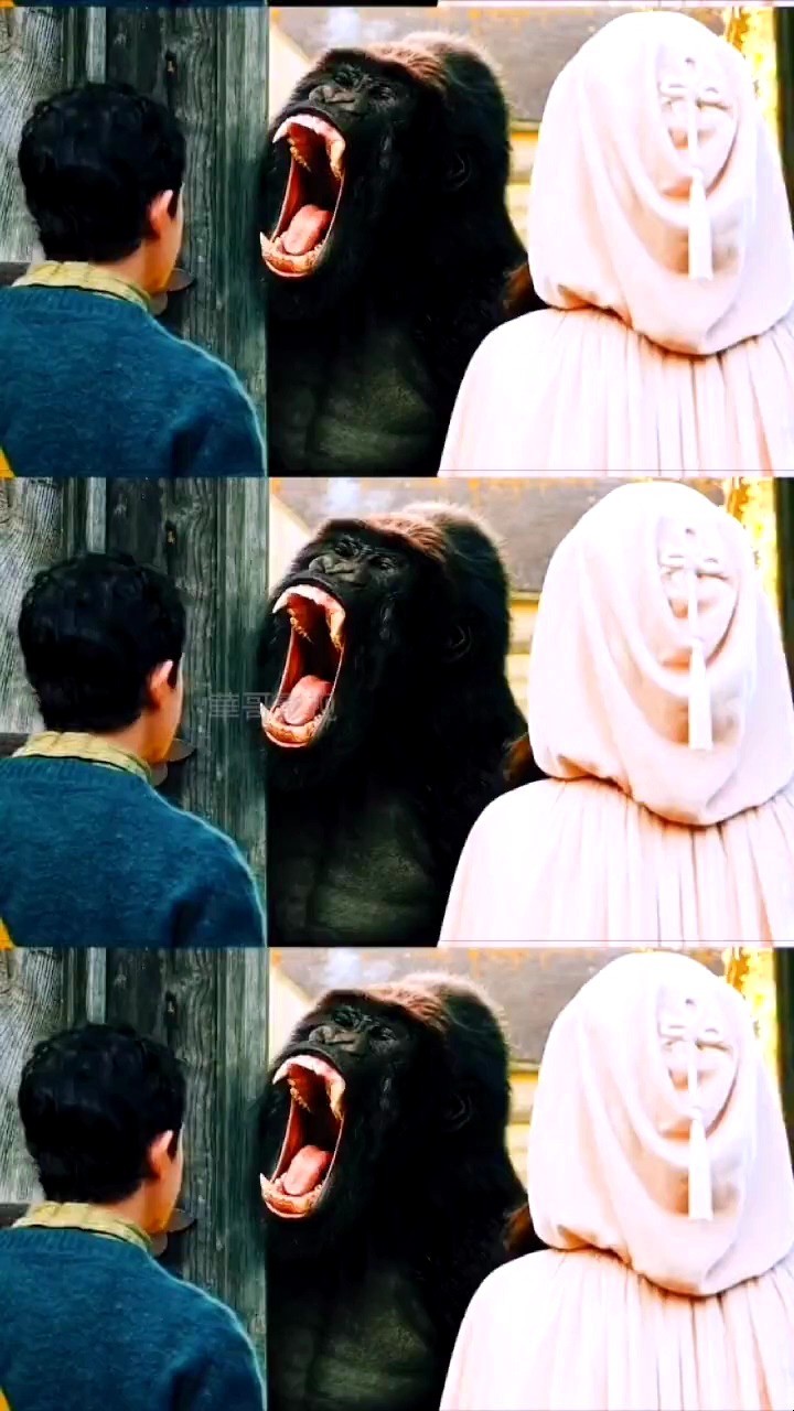  - 林金煌《夜场顶级》 也想养只这样的猩猩 热门歌曲