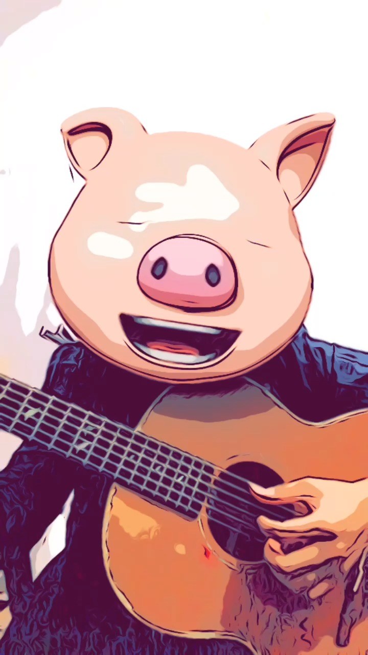 - 传说中最红的猪!!