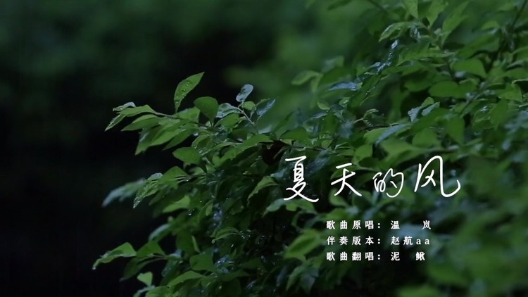【翻唱】夏天的风(温柔男声翻唱)