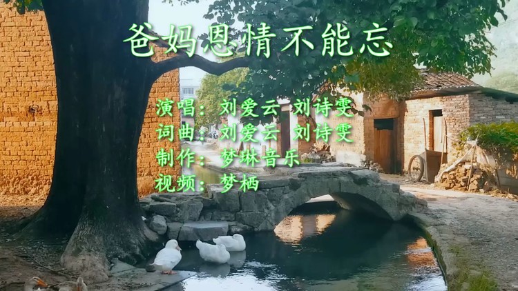  - 爸妈恩情不能忘-刘诗雯