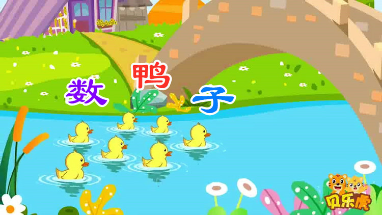 贝乐虎《数鸭子》门前大桥下游过一群鸭,快来快来数一数