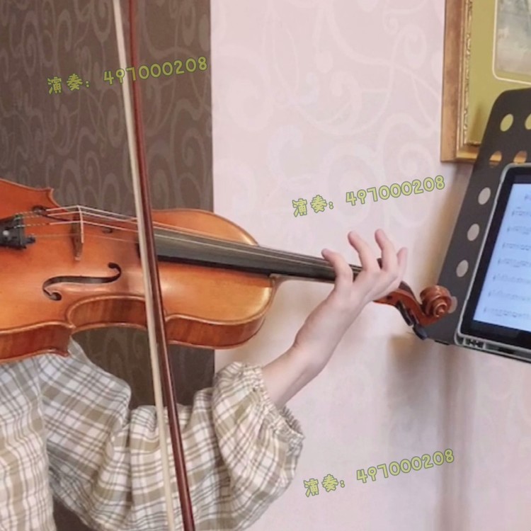  - 无敌小可爱 小提琴演奏版