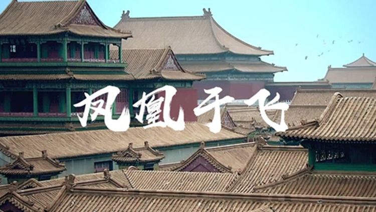  - 凤凰于飞【特曼翻唱】