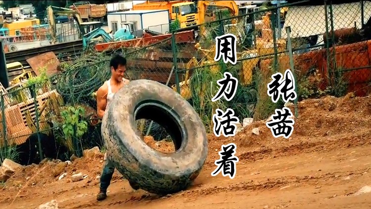 张茜用力活着歌词太现实唱出了对生活的心酸与无奈