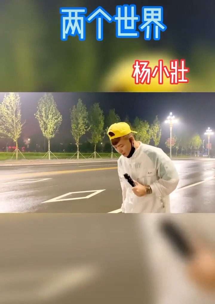 杨小壮《两个世界》