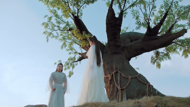  - 要不要买菜 - 下山