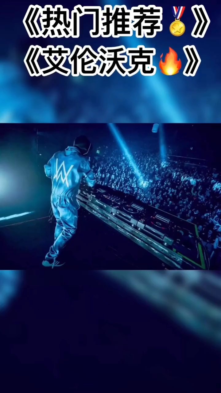 alan walker《on my way》劲爆版音乐节现场