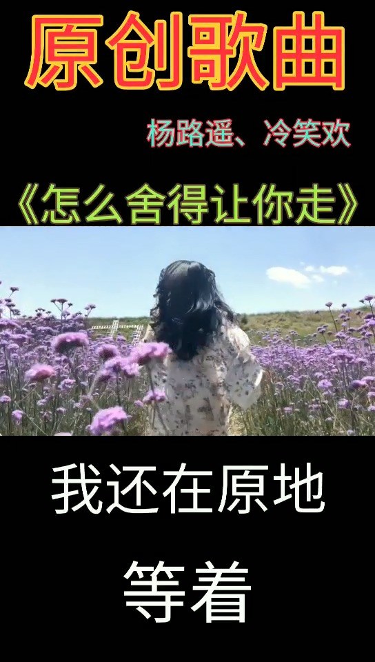 - 杨路遥、冷笑欢-怎么舍得让你走(原唱)