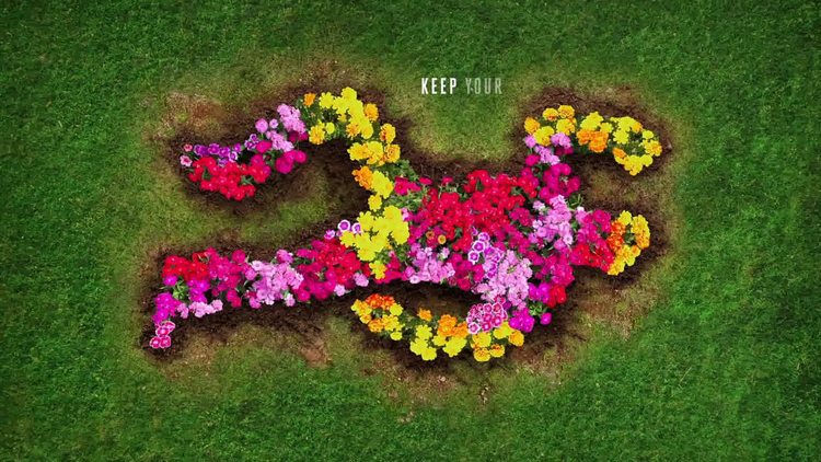  - 啊啊啊定档了！#致命女人#第二季首曝先导预告片！