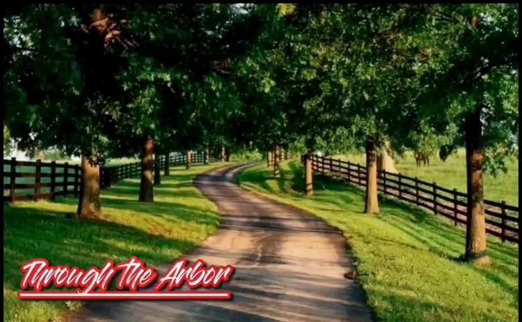  - Kevin Kern《Through the Arbor》