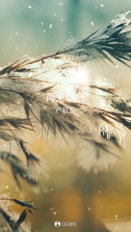 - 卢启云:再见以后,欢迎关注收听