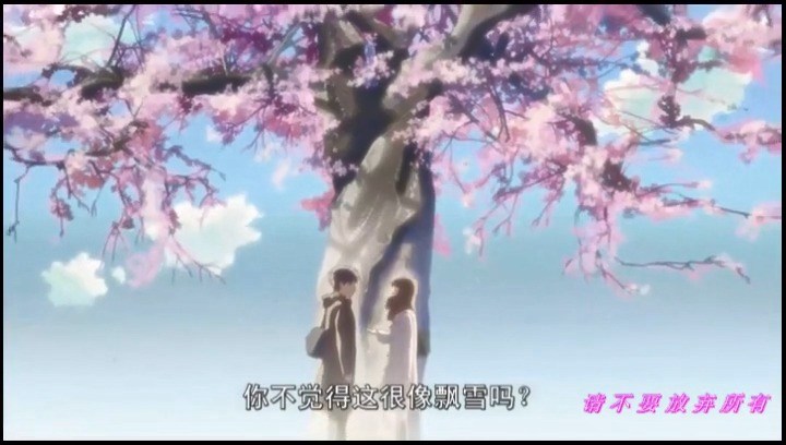 - 【新海诚秒速五厘米】×《豆花之歌》,有人说樱花飘落的速度是秒速五厘米。。。