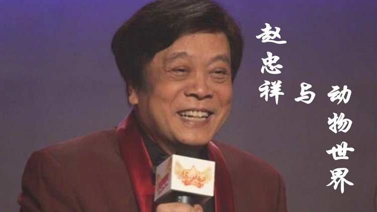  - 赵忠祥先生与《动物世界》，让我们重温磁性般声音的魅力