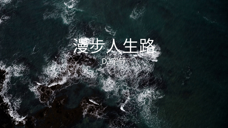 【歌词版】dj宇轩《漫步人生路》mv