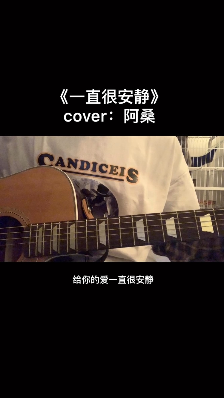 给你的爱一直很安静