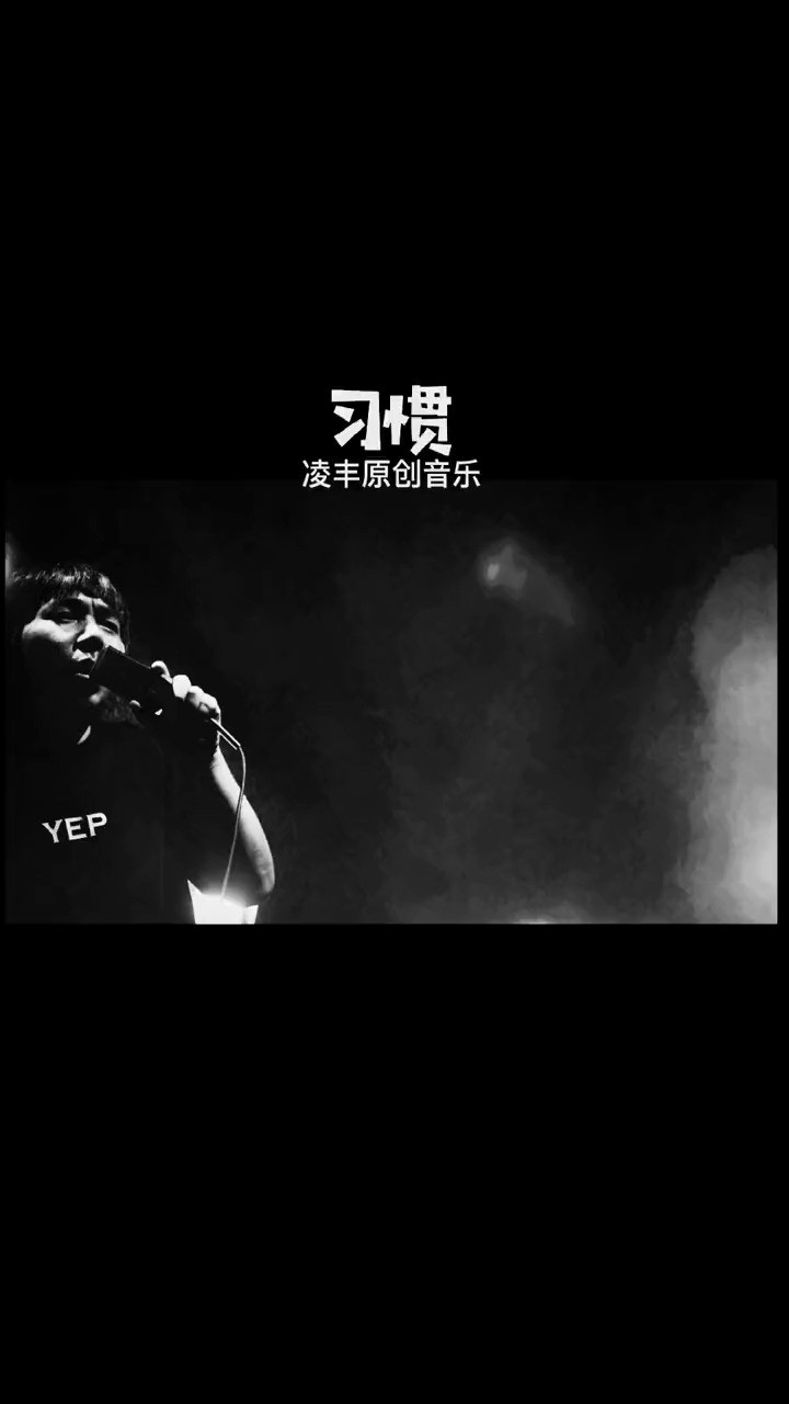  - 《习惯了》凌丰 完整版