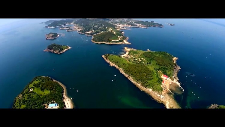  - 魏新雨 - 一念相思