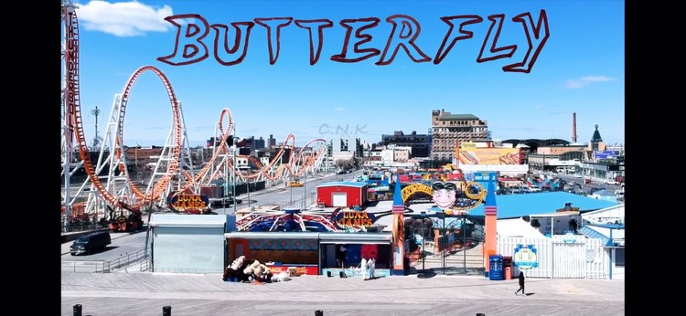  - 【发现乐人】#深夜电子抖腿旋律# 一入电音深似海，从此拉？全靠甩 给你们一只C.N.K的蝴蝶BUTTERFLY 然后我们一起起飞好吗~