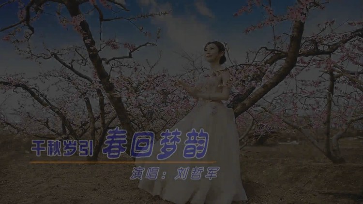  - 刘哲军--千秋岁引·春回梦韵MV