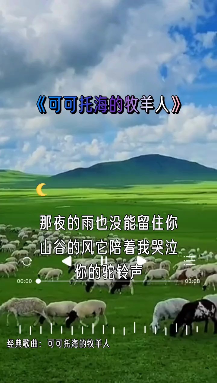 雷可畏《可可托海的牧羊人》金典好听 热门歌曲