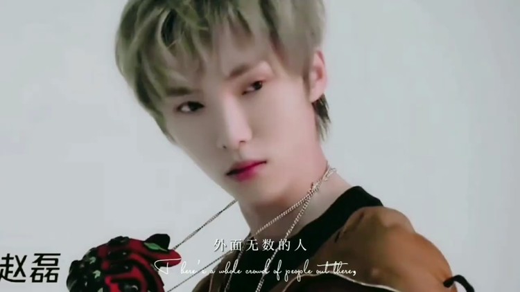 - 赵磊 颜向混剪