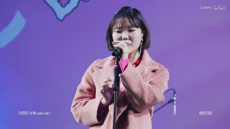 乐童音乐家2019首尔音乐节李秀贤dinosaurlive舞台