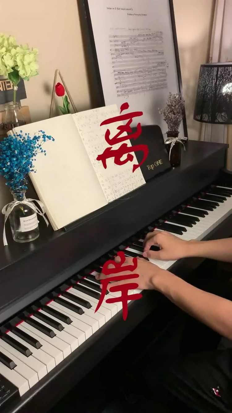 苏晗离岸钢琴简谱图片