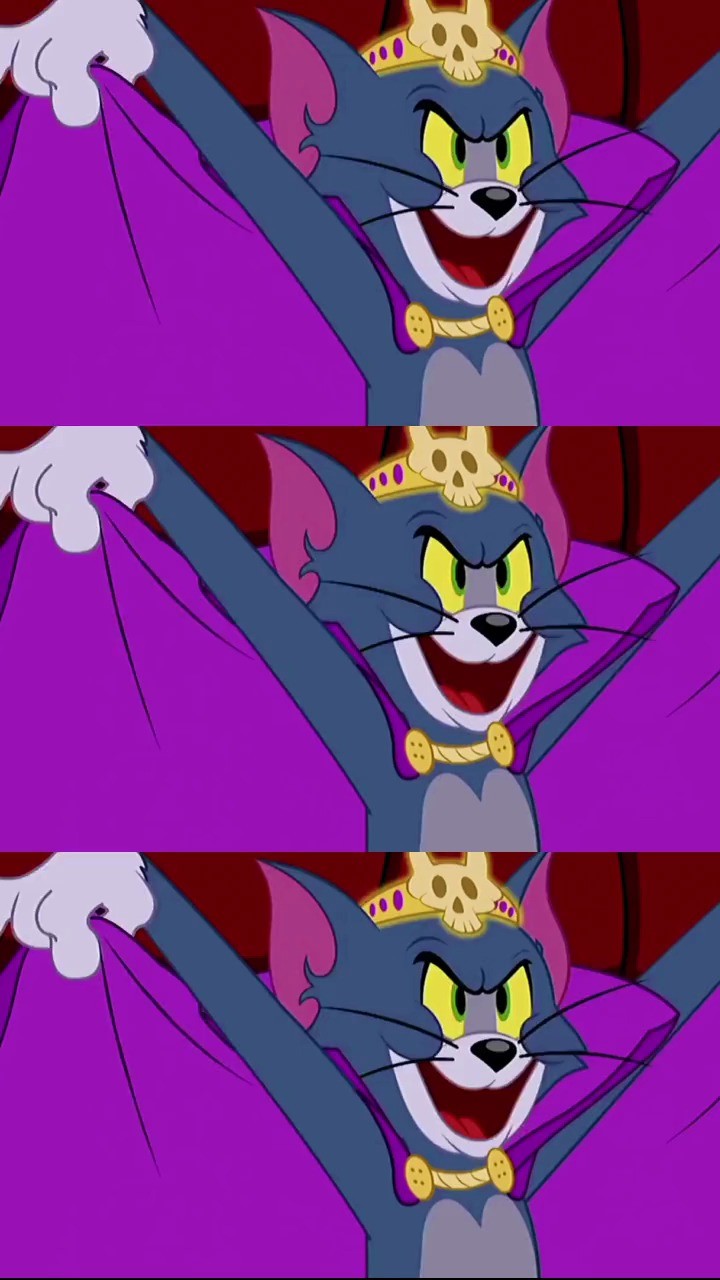 - 我的自信全都来自于 我的那些大号上汤姆猫 压迫感 猫和老鼠