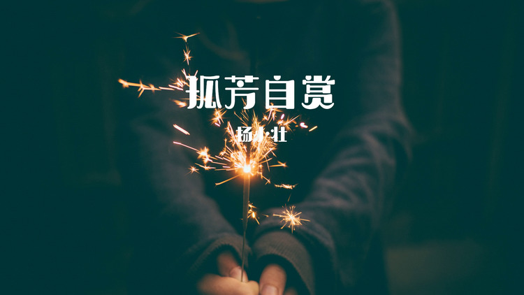 杨小壮《孤芳自赏》完整歌词版mv