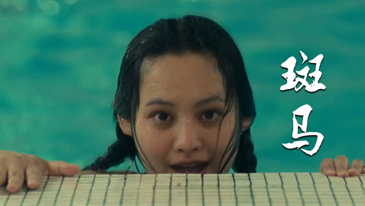  - 《阳光灿烂的日子》，米兰、马小军遇上民谣《斑马》