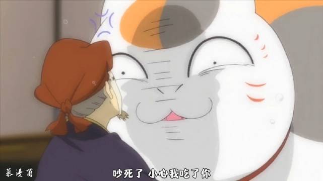 生气的猫咪老师真的好搞怪