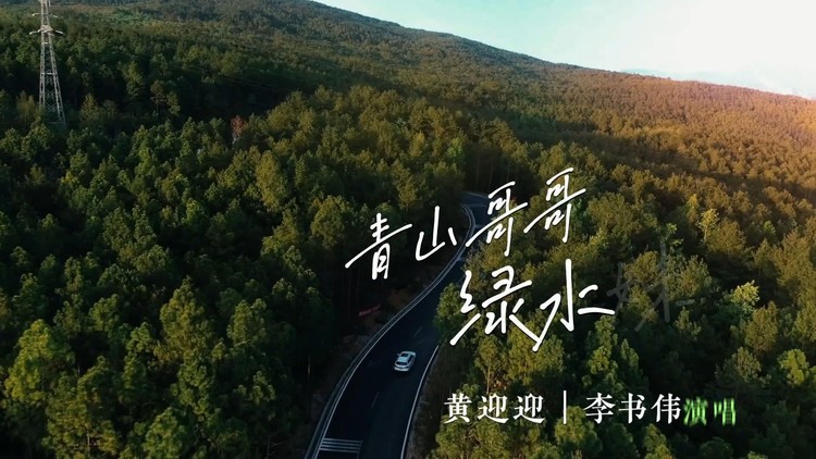  - 黄迎迎、李书伟-青山哥哥绿水妹 KTV