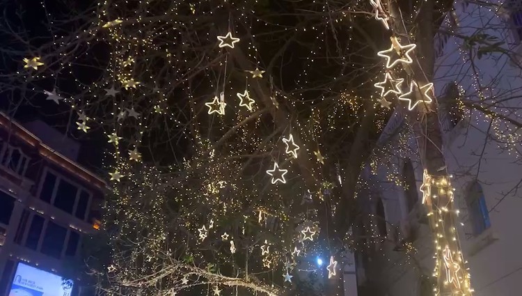  - 你如星光，新年快乐