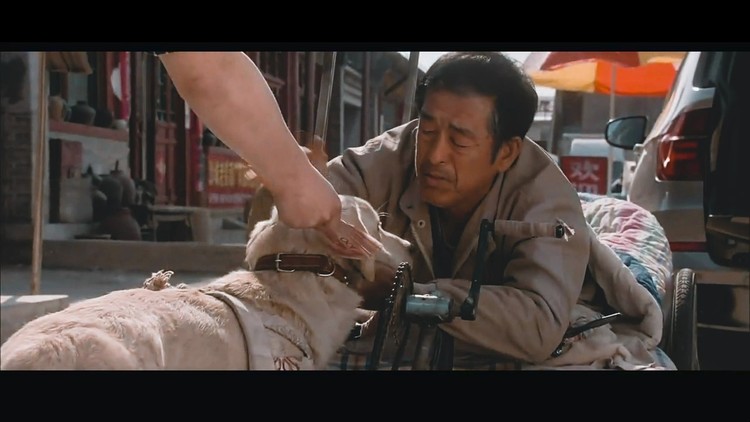  - 狗是人类忠实的朋友